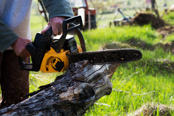 Best Emergency Tree Removal  in Dubois, PA